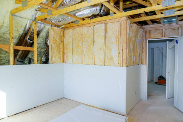 Best Insulation Contractors for Homes  in New Holstein, WI